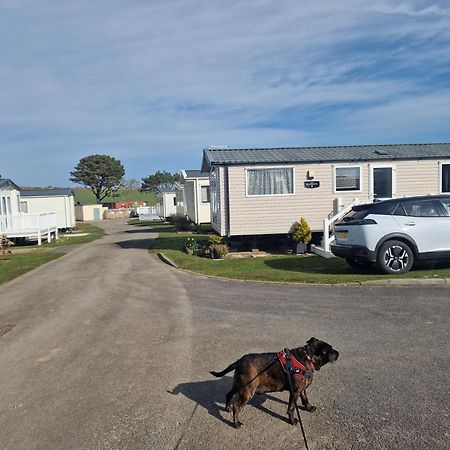 Durdlee Door, D27, Main Rd, West Lulworth, Wareham Bh20 5Pu Hotell Exteriör bild