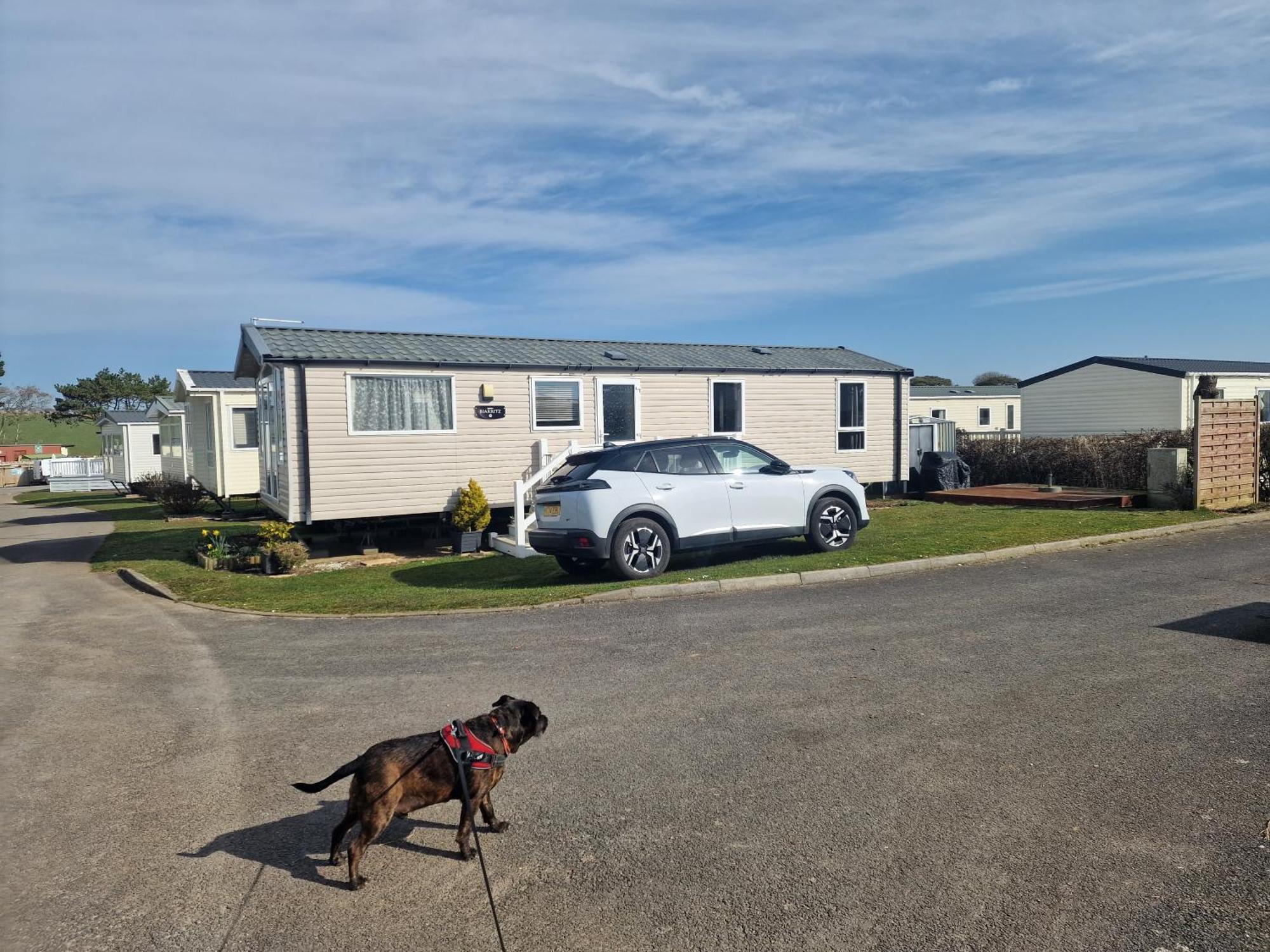 Durdlee Door, D27, Main Rd, West Lulworth, Wareham Bh20 5Pu Hotell Exteriör bild
